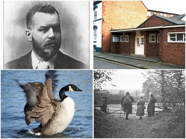 Northamptonshire Natural History Society. (Clockwise from top left) Former member Walter Drawbridge Crick, the Humfrey Rooms, three members at Badby Wood in 1935 after an all-night outing to observe wildlife, and a goose on Abington Park lake, taken by a member of the photography section