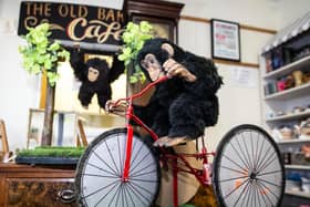 The Old Bakehouse Antique Centre is now home to two of the iconic performing monkeys loved by residents.