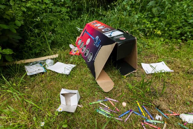 Cllr Duffy says her ward is like an 'open dustbin'