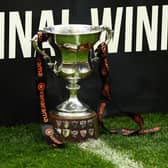 The play-off final trophy.