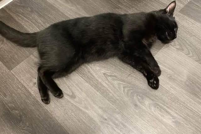 Milo was only two-and-a-half when he died.