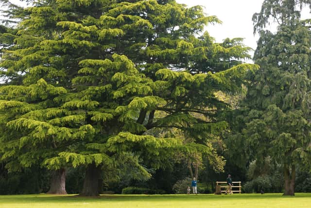 Delapré Abbey is developing a new wellness programme and wants to hear your ideas.
