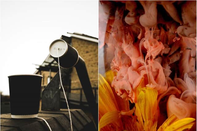 More submissions for the photography competition.