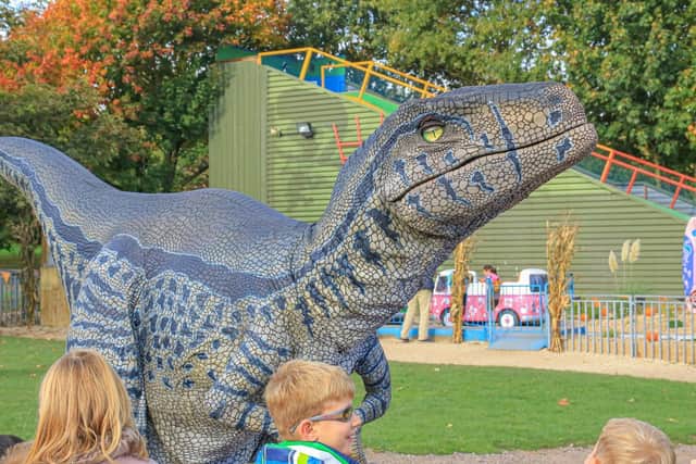 'Raptor' - One of the dinosaurs coming to Northampton town centre