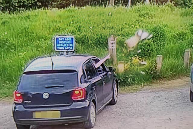 The offender was caught on camera at Brixworth Country Park