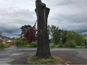 The tree stump will be used for a sculpture.