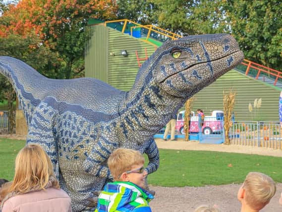 'Raptor' - One of the dinosaurs coming to Northampton town centre