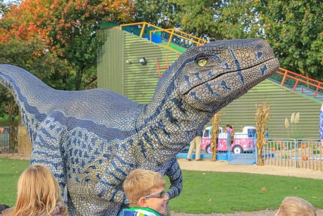 'Raptor' - One of the dinosaurs coming to Northampton town centre