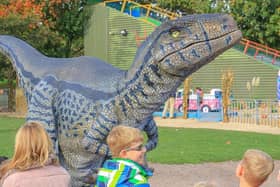 'Raptor' - One of the dinosaurs coming to Northampton town centre