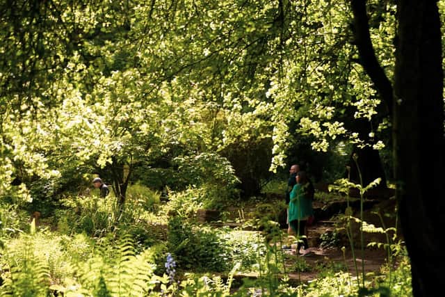 Join Delapré Abbey in celebrating their local green spaces all next week.