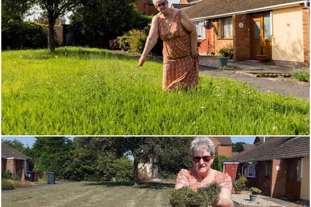 Anne Harris complained about the grass being too long (top) and now wants the council to pick the discarded grass cuttings up (below).