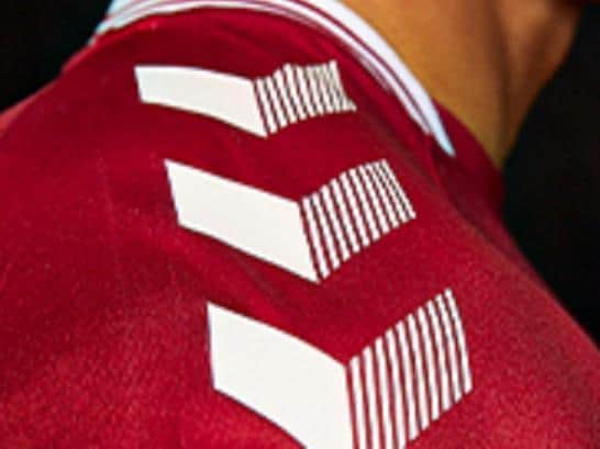 The shirt has the classic hummel emblem down the sleeves