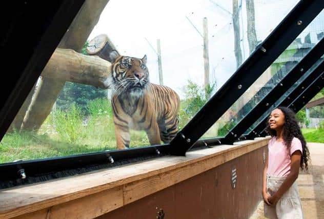 The selected young conservationist will get an access-all-areas experience.