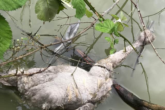RSPCA is now warning anglers about discarding their litter properly.