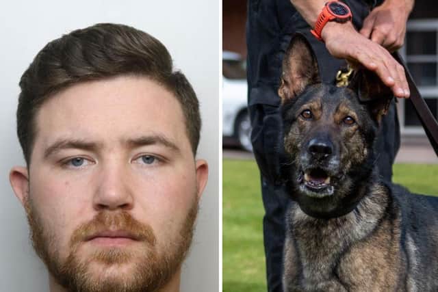 Kelly was cornered by PD Nala after speeding at 80mph on a stolen bike and punching a police officer