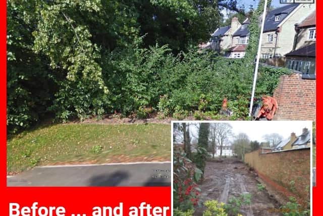 Contractors felled protected trees without permission