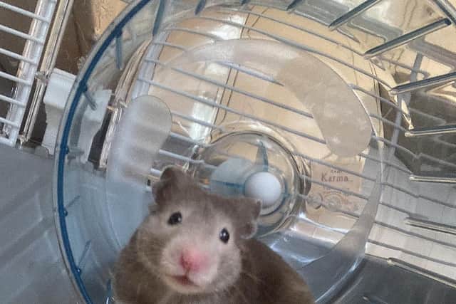 Quicksilver was found dumped in a bush in Northampton