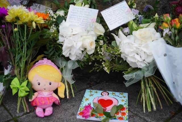 Following the recent mass shooting in Plymouth police forces across England and Wales have been urged to review their firearm application processes