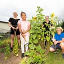 The Grow Together Allotment in Berrywood Road opened in 2016, as a partnership project between Duston Parish Council and ‘Clubs for Young People’.