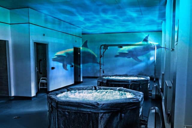 The therapy can even help people swim with dolphins.