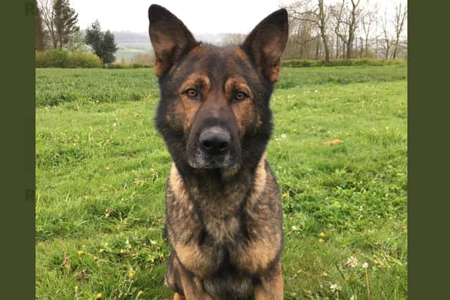 PD Olly