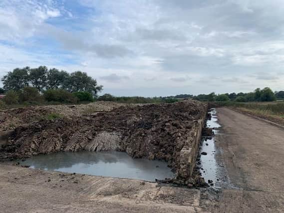 The sludge alleged to be emitting a 'foul' odour in Whilton. Photo: Paul Rigby