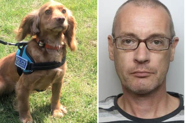 She might look cute, but PD Rosie quickly outsmarted paedophile Steven Grosvenor