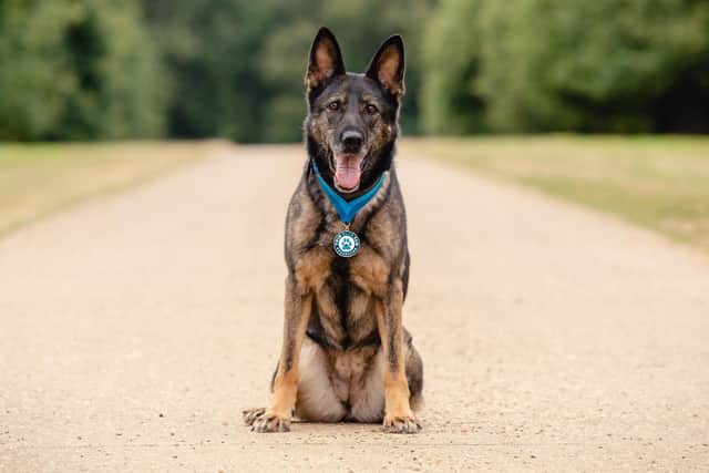 PD Nala
