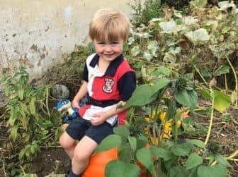 Former winner Angus Fyfe prepares his pumpkin patch.