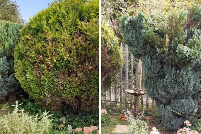 A pensioner paid £400 for her garden to be tidied up but it was left in a 'mess' according to friends.