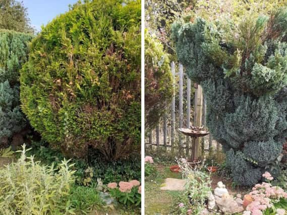 A pensioner paid £400 for her garden to be tidied up but it was left in a 'mess' according to friends.