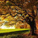 As the seasons change so can emotions.