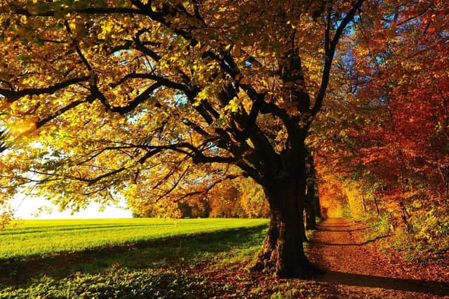 As the seasons change so can emotions.