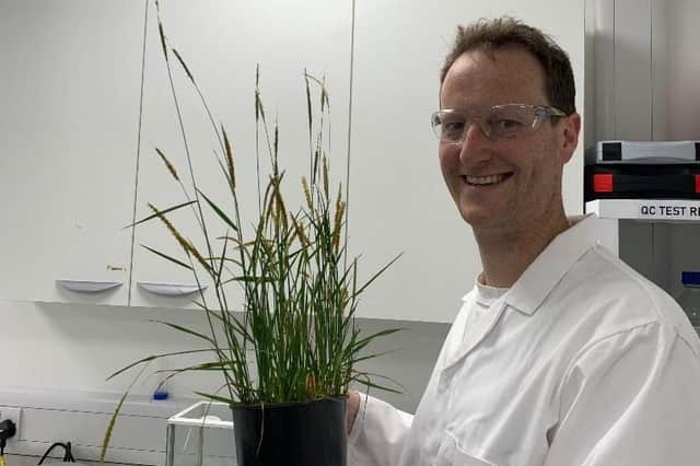 Dr Russell Sharp with the black grass plants sent in by local farmers