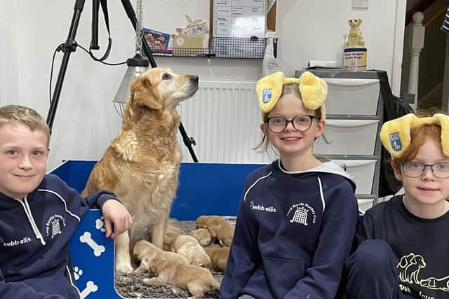 Rhys Jones, Beatrix Sheldon and Oliver Robertson with guide dog mum Lola and her puppies.