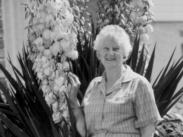 Mary Ward, Spinney Hill with flowering yucca , 1993