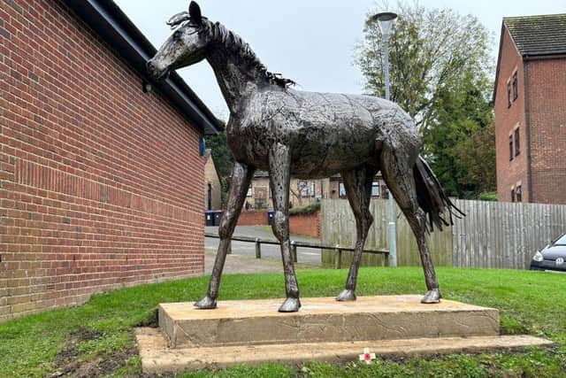 Jim the War Horse's poppy coat will be unveiled this Thursday (November 7) in Woodford Halse.