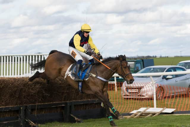 Golan Fortune and Toby McCain-Mitchell clear the last fence to make a winning comeback