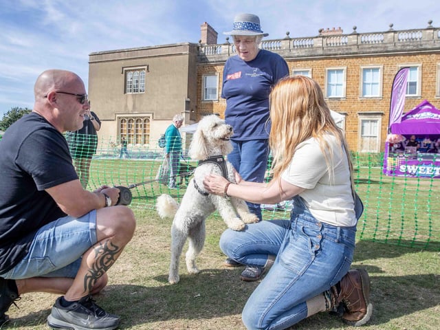 Pooches and owners alike enjoying the popular dog festival on Saturday September 14, 2024.