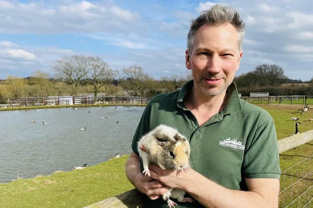 The founder and owner of Mini Meadows Farm, Ben Barraclough, with one of the farm's resident guinea pigs.