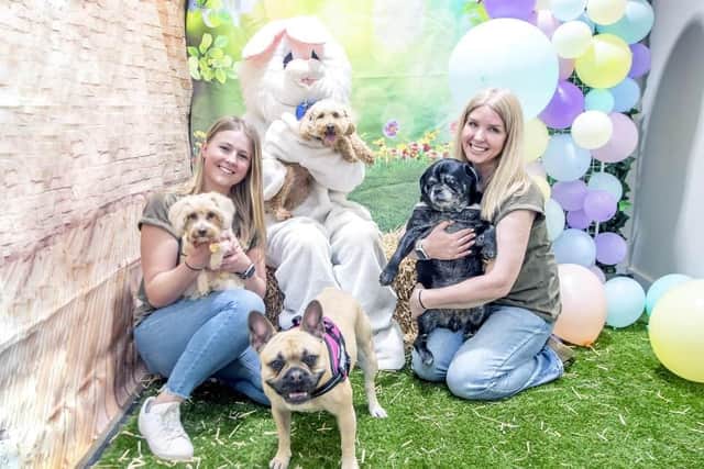 Teddy's Dog Care's Easter event, which sparked the idea to host a dog festival. Photo: Kirsty Edmonds.