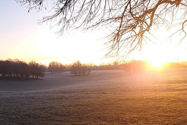 A very bright sun spotted on The Racecourse.