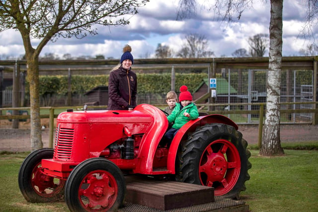 Rookery Open Farm has now re-opened to the public and is celebrating their 20th anniversary.