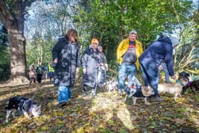 French Bulldog Meet & Walk Northamptonshire Halloween special