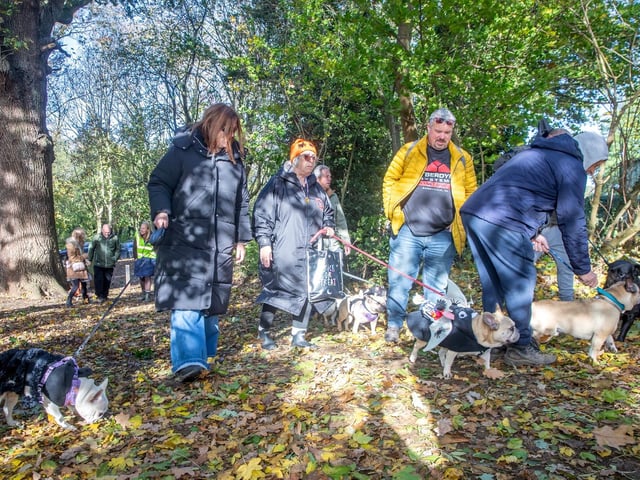 French Bulldog Meet & Walk Northamptonshire Halloween special