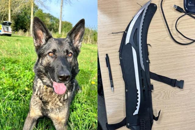 PD Ebby stopped a burglary and found a huge knife (pictured). Photo: Northants Police Dog Section.