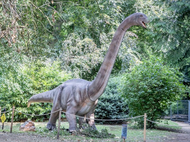 What to expect from the Dinosaurs in the Park event, which is at Delapre Abbey until Sunday September 1, 2024.