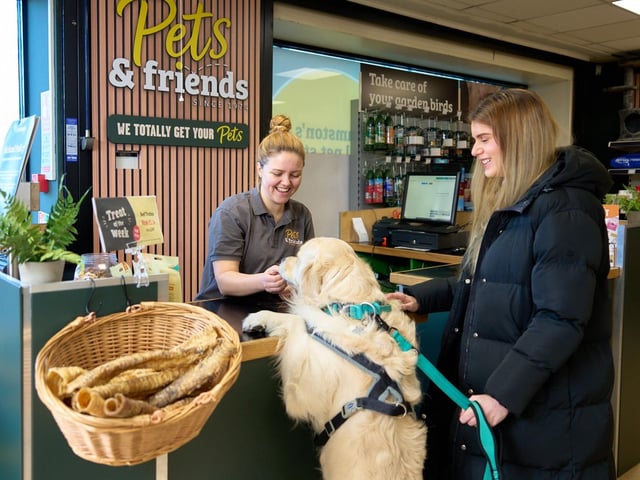 Pets & Friends