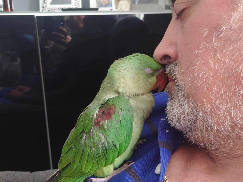 Monty pictured at home with his dad.