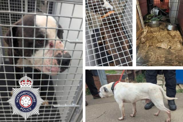 Sarah Jane Taylor, 58, has been banned from keeping animals for 10 years following a warrant executed by Northamptonshire Police in Burton Latimer/ Northants Police